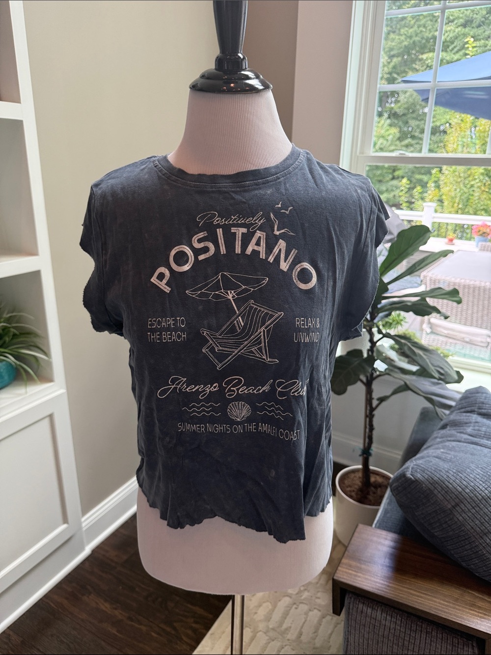 wild fable Positano Graphic Crop Tee distressed xl